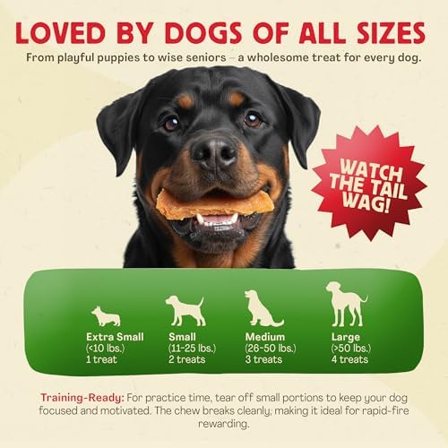 Chewmasters Hip & Joint Chicken Dog Treats 350g Chewy Training Bites 6 Pack