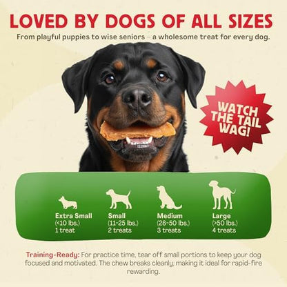 Chewmasters Hip & Joint Chicken Dog Treats 350g Chewy Training Bites 6 Pack