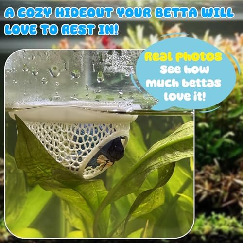 Pink Floating Betta Hide & Shrimp Cave – 3D Printed Aquarium Hammock, Feeding Ring & Resting Spot for Betta Fish, Shrimp & Small Fish (Eco-Safe PLA)