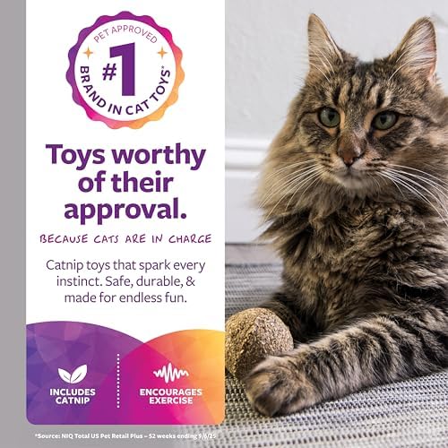 SmartyKat Catnip Kiss Compressed Cat Toy Ball, Mess-Free Concentrated Catnip Power for Chase & Pounce Play for Cats & Kittens, One Size