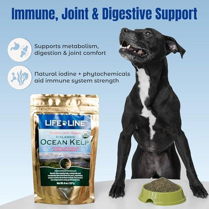 Life Line Organic Ocean Kelp Powder for Cats, Dogs, Livestock, and Horses – Natural Iodine Supplement for Healthy Skin, Coat, and Teeth – Reduces Plaque & Increases Metabolism - 8 oz