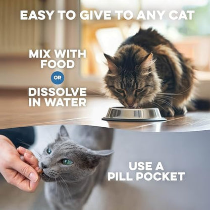 Cat Allergy Relief & Immune Support, Natural Relief for Seasonal Allergies, Itching, Sneezing, Congestion, Runny Nose, and Feline Respiratory Infections, 400 Small Odorless Tasteless Pills