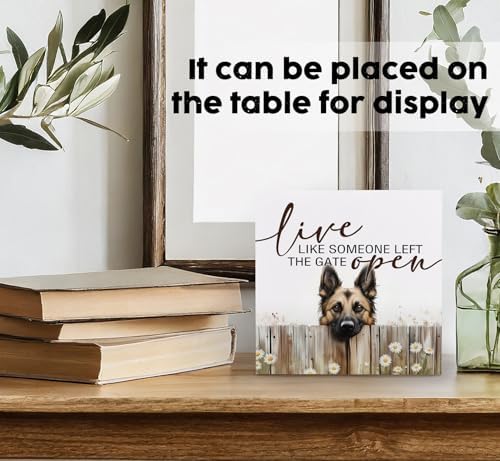 Belgian Malinois Signs - Farm Cottagecore Animal Office Kitchen Bedroom Decor,Rustic Farmhouse Live like Someone Left the Gate Open Home Decor Signs,Belgian Malinois Gifts for Women,6x6