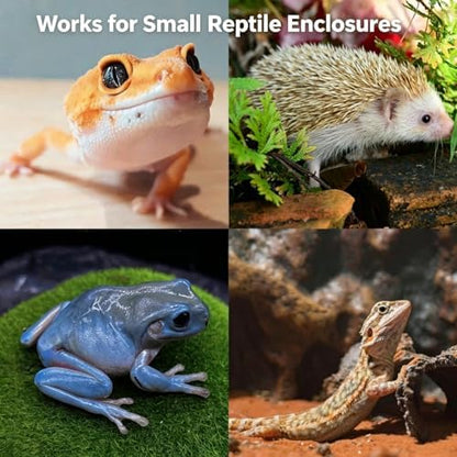 Bearded Dragon Tank Cleaning Kit, Reptile Enclosure Cleaning Set with Mini Dustpan, Brush, Scraper & Cleaning Cloth, Small Reptile Cleaning Accessories for Lizard, Gecko, Hedgehog Glass Terrarium