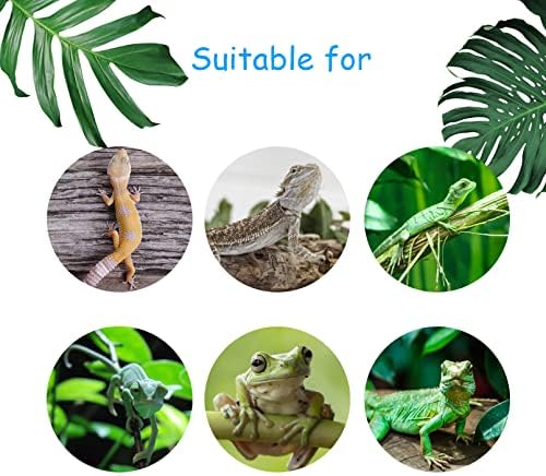 4 PCS Crested Gecko Coconut Hide Natural Lizard Coco Hut Reptile Hanging Nest Flexible Vine Habitat Decoration Bearded Dragon Terrarium Accessories for Tortoise Chameleon Snake Spider