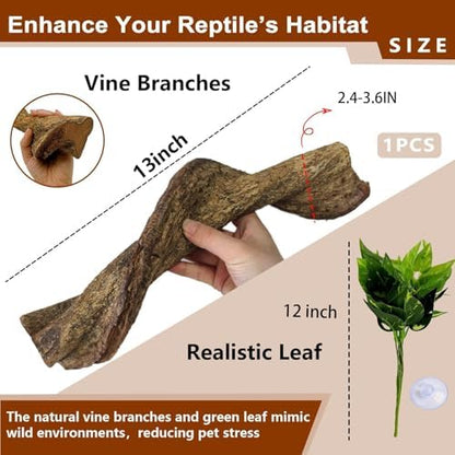 BNOSDM 2Pcs Reptile Climbing Branches Decor,2.5-3.25" Think Snake Climbing Branch,Gecko Climb Wood,Lizard Bold Forest Branch,Tank Habitat Tree Trunk Decorations for Bearded Dragons,Chameleons,Frogs