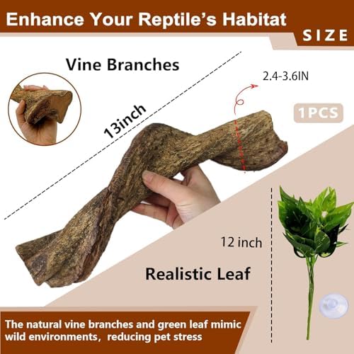 BNOSDM 2Pcs Reptile Climbing Branches Decor,2.5-3.25" Think Snake Climbing Branch,Gecko Climb Wood,Lizard Bold Forest Branch,Tank Habitat Tree Trunk Decorations for Bearded Dragons,Chameleons,Frogs