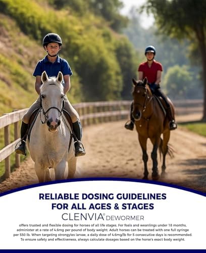 Horse Paste 10% – 1 Pack – 25g Syringes – Oral Deworming Paste for Horses of All Ages – Easy-to-Administer Equine Care
