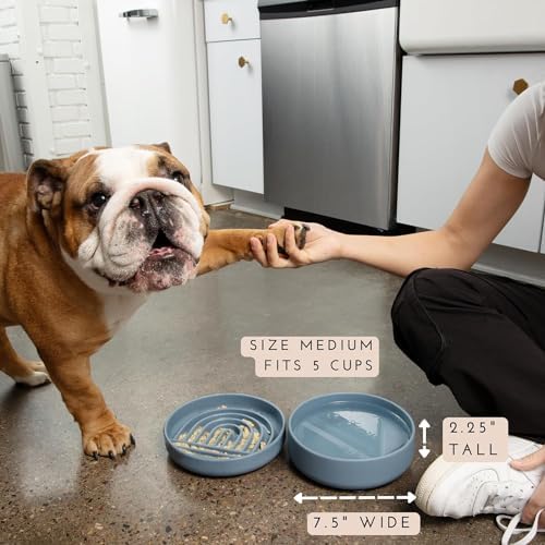 The Perfect Dish - Silicone Dog Bowl for Food & Water, 7.5"x2.25"- Blush
