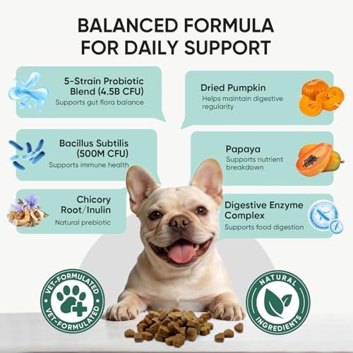 Probiotics for Dogs Gut Digestive Health Probiotic Chews 200 Ct Pork