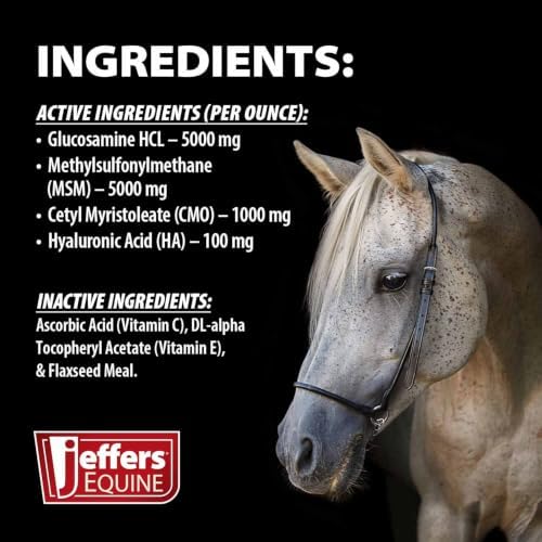 Jeffers Motion Potion CM Joint Formula Supplement Powder for Horses | 10 lb