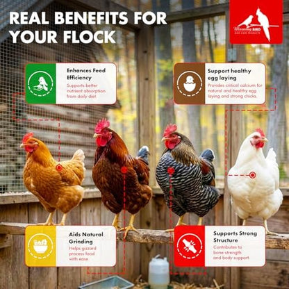 Morning Bird Poultry Grit for Chicken 1.5 lb, Mineral-Rich Chicken Grit Formula for Digestion & Calcium Support