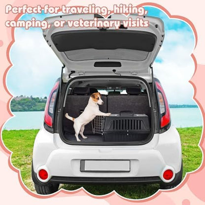 2 Set 18.9" Pet Carrier for Small Cats and Dogs, Hard Sided Plastic Cat Kennel for Pet with Front Door Security Lock Fully Breathable Travel Crate, up to 13 Lbs(Black,18.9 x 12.6 x 11.8 Inch)