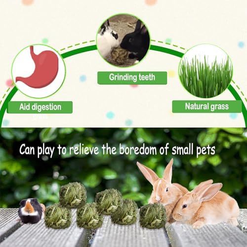 kathson Natural Rabbit Grass Ball,Timothy Grasses Chew Toys,Natural Weaving Molar Tooth Toy,Bunny Activity Play Balls for Chinchillas Hamster Guinea Pig and Small Animal (6 PCS)