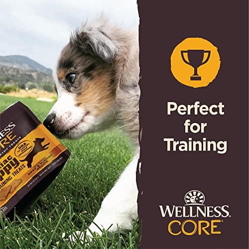 Wellness CORE Brainiac Soft Puppy Training Treats, Natural, Grain Free, Beef and Turkey Recipe, 6 Ounce Bag (Pack of 2)
