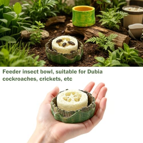 5pcs Dubia Roach Live Tree Stump Feeding Bowls & Green Bamboo Water Bowls Container with Loofah Net Set, Habitat for Dubia Roaches Live, Crickets & Springtails, Habitat Supplies