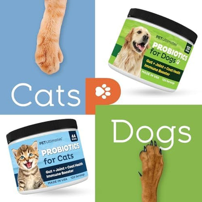 Pet Ultimates Probiotics for Dogs – 22-Species Dog Probiotics for Digestive Support & Antibiotics Recovery – Skin and Coat Supplement, Enhances Vitality – Dog Health Supplies (2 Pack)