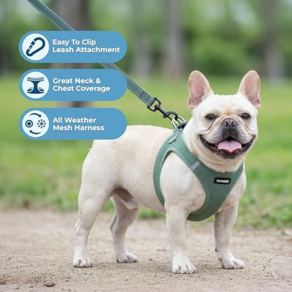 Best Pet Supplies Voyager Step-in Air All Weather Mesh Harness and Reflective Dog 5ft Leash Combo with Neoprene Handle, for Small, Medium and Large Breed Puppies - Moss Green, X-Small