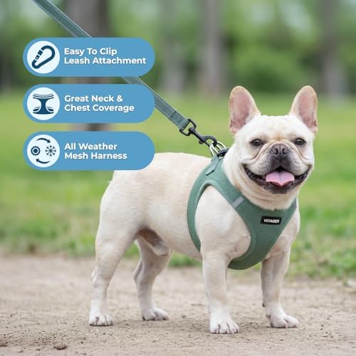 Best Pet Supplies Voyager Step-in Air All Weather Mesh Harness and Reflective Dog 5ft Leash Combo with Neoprene Handle, for Small, Medium and Large Breed Puppies - Moss Green, Medium