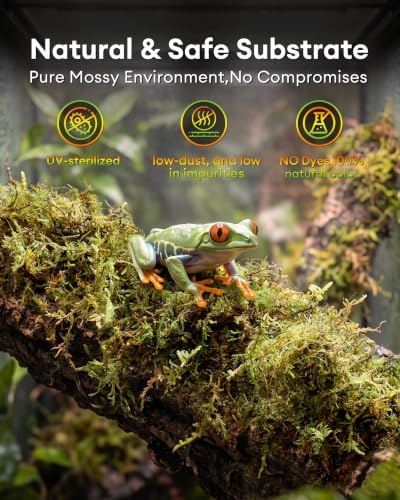 Sphagnum Moss for Reptiles & Plants, 3.5 OZ Terrarium Moss Bedding
