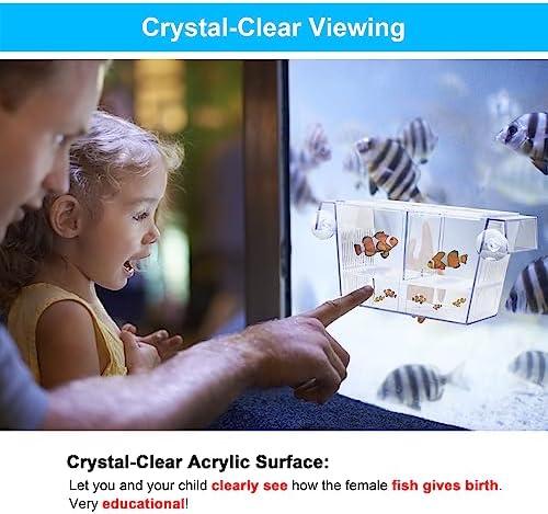 DaToo Fish Breeding Box Aquarium Holding Tank Transparent Fish Isolation Box Acclimation Hatchery Incubator Breeder for Betta Shrimp Clownfish Guppy
