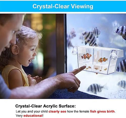 DaToo Fish Breeding Box Aquarium Holding Tank Transparent Fish Isolation Box Acclimation Hatchery Incubator Breeder for Betta Shrimp Clownfish Guppy