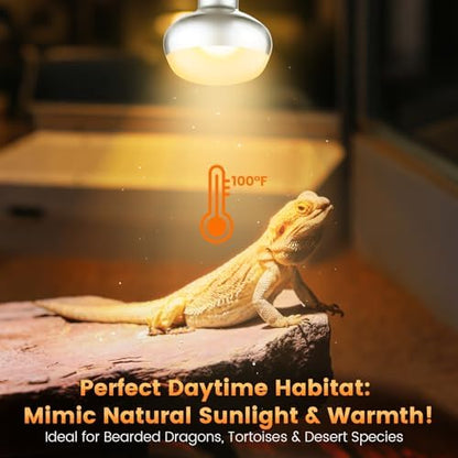REPTITRIP Dual Reptile Lamp Fixture with 100W Daytime Heat & 100W Nighttime Infrared Heat Bulbs, 2 Independent Switches, Reptile Heat Lamp Combo Pack - No UVB