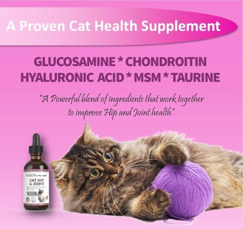 NODENS Cat Hip and Joint Liquid Glucosamine for Cats with Chondroitin