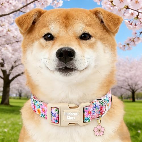 Lionheart Glory Spring Summer Dog Collar - Soft and Adjustable Dog Collars with Plastic Buckle Colorful Wildflower Pattern Dogs Collar for X-Small Dogs Puppy Male Female Pet Collars XS