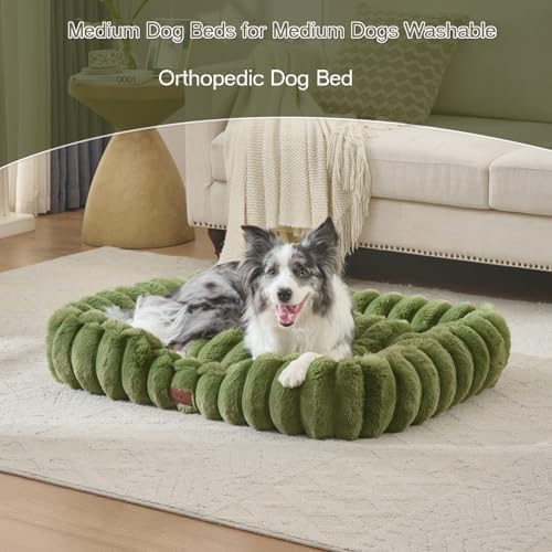 Luxury Dog Beds,Large Sized Dog Washable Furry Pet Beds,Comfort Rectangle Pet Sofa Couch with Ultra,Puppy Beds with Removable Zipper Cover,30x25x7.5inches,Sage Green