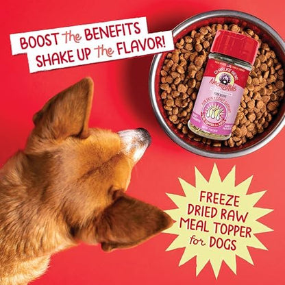 Charlee Bear Freeze Dried Pork Dog Food Topper, Skin & Coat, 1 oz