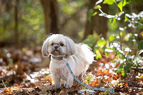 Pets First NFL Licensed Philadelphia Eagles Pet Leash, Size Medium – Durable Satin Dog & Cat Walking Strap and Pet Tether with Embroidered Team Name & Logo