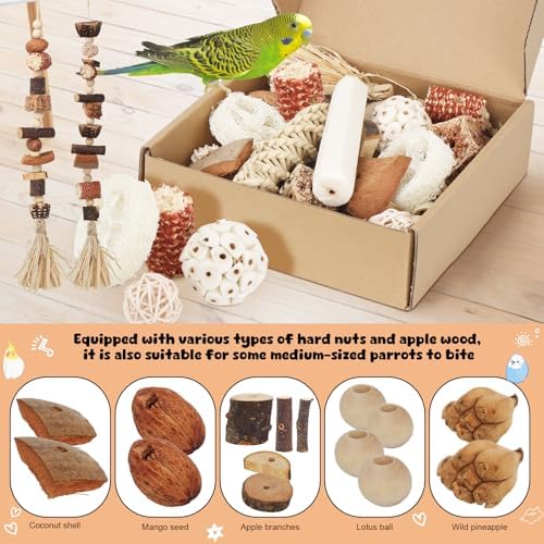 Bird Toys Parrot Foraging Box Parakeet Toys with DIY Hanging String