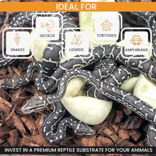 ReptiChip Reptile Bedding Loose Coconut Chip 6 Quart Coco Husk Substrate Mulch for Snake Habitat, Ball Python Terrarium, Turtle Tanks, Tortoise Enclosure