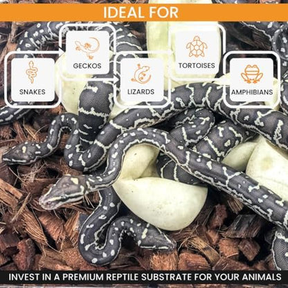 ReptiChip Reptile Bedding Loose Coconut Chip 6 Quart Coco Husk Substrate Mulch for Snake Habitat, Ball Python Terrarium, Turtle Tanks, Tortoise Enclosure
