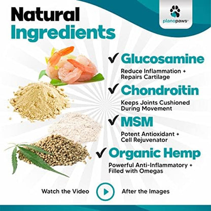 Glucosamine for Dogs Hip and Joint Supplement, 120 Soft Chews with Hemp