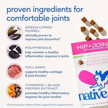 Native Pet Inflammatory Care - Pain Relief for Dogs - Green-Lipped Mussel, Turmeric & Collagen for Dogs - Hip and Joint Supplement Supports Healthy Inflammatory Response & Joint Comfort - 120 Chews