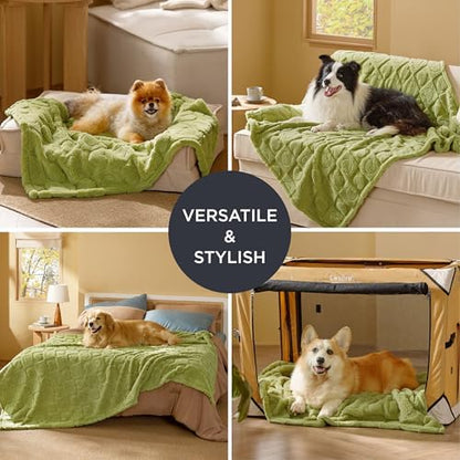 Bedsure Dog Blanket for Small Dogs Puppy and Cats, Soft Fleece, 25x35 Green