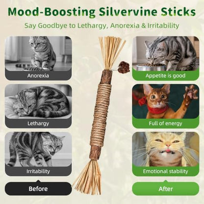 GBSYU Silvervine Sticks Cat Kitten Chew Toys for Indoor Cats Teeth Cleaning