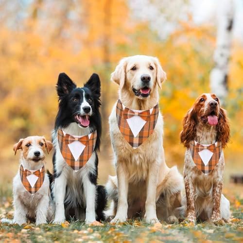 ADOGGYGO Fall Dog Tuxedo Collar, Orange Plaid Dog Thanksgiving Outfit, XS