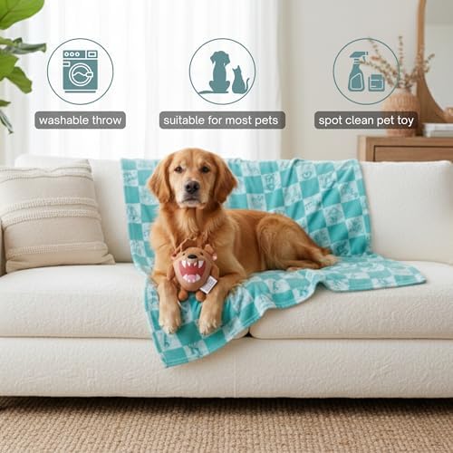 Looney Tunes Tasmanian Devil Pet Throw & Squeaky Pillow Set, Stimulating Toy As Gifts for Puppies, Cats, Dogs, (Officially Licensed) By Franco