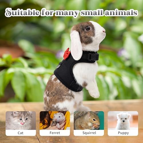 AIITLE Breathable Rabbit Harness and Leash Set with Cute Bow, Black M