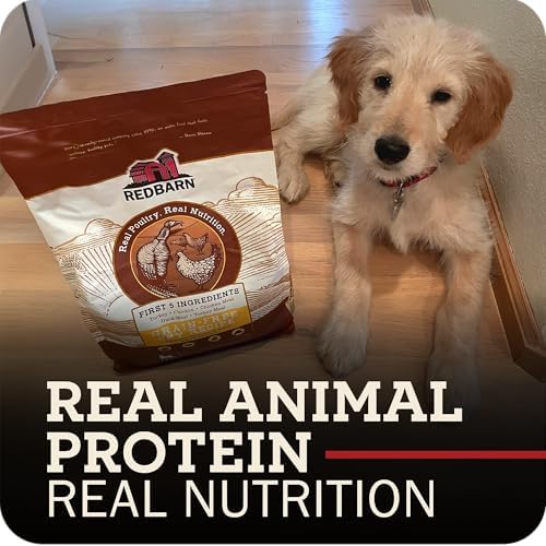 Redbarn Grain-Free Adult Dry Dog Food Kibble - Sky Chicken Recipe - Made in USA No Grains Recipe with Functional Ingredients to Support Healthy Heart, Skin, Coat, Immunity & Digestion - 4lb