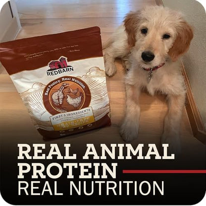 Redbarn Grain-Free Adult Dry Dog Food Kibble - Sky Chicken Recipe - Made in USA No Grains Recipe with Functional Ingredients to Support Healthy Heart, Skin, Coat, Immunity & Digestion - 4lb