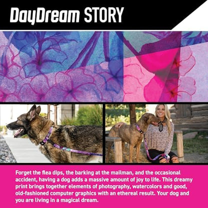 Wolfgang Heavy Duty Dog Leash, Pull-Tested to Over 800 lbs for Walking & Training, Daydream Print, Small