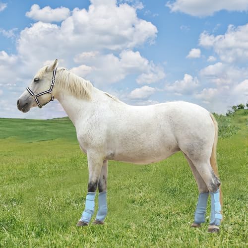 Horse Fly Boots, Mesh Fly Boots for Horse Set of 4, Equine Leg Protection