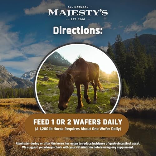 Majesty's BIO+ Biotin Wafers - Horse/Equine Hoof & Coat Support Supplement - Peppermint Flavored Wafers (2 Pack (120 Count Total))