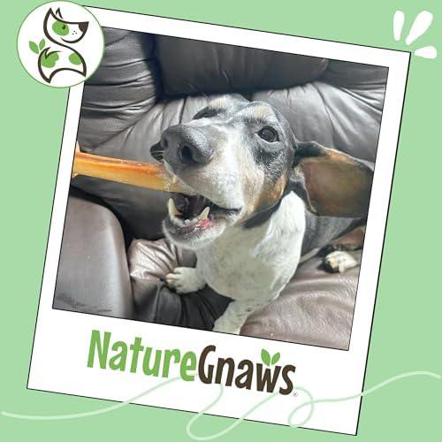 Nature Gnaws Small Bully Sticks 5-6" Rawhide Free Dog Chews, 25 Count