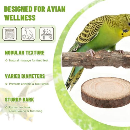 6 Pcs Natural Wood Bird Perch & Platform Set for Cage