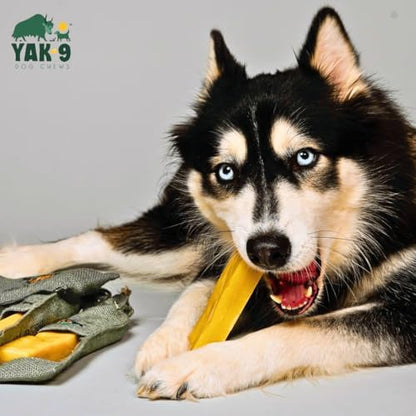 Yak9 Himalayan Yak Chews for Medium Dogs - High Protein, Rawhide Free, Long Lasting Treats - Non GMO, Gluten Free, Grain Free Yak Milk Dog Chew, Extra Large 6oz, Yak & Cow, 3 PC